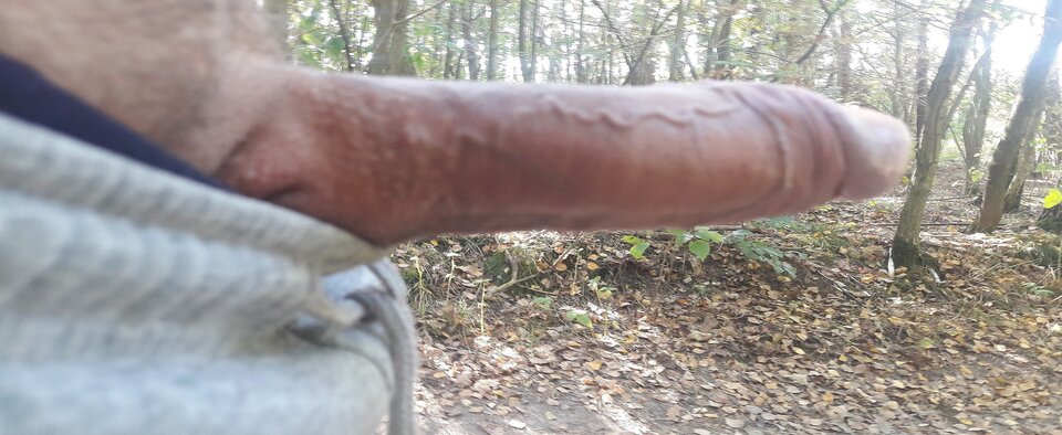 zurse.jpg - mmojduzy102