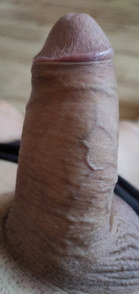 IMG_20210909_102435.jpg - bigwal74