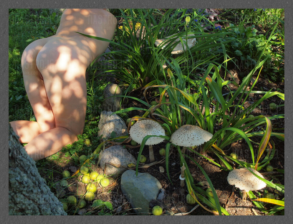 Ranczo Natura - Nastroje3