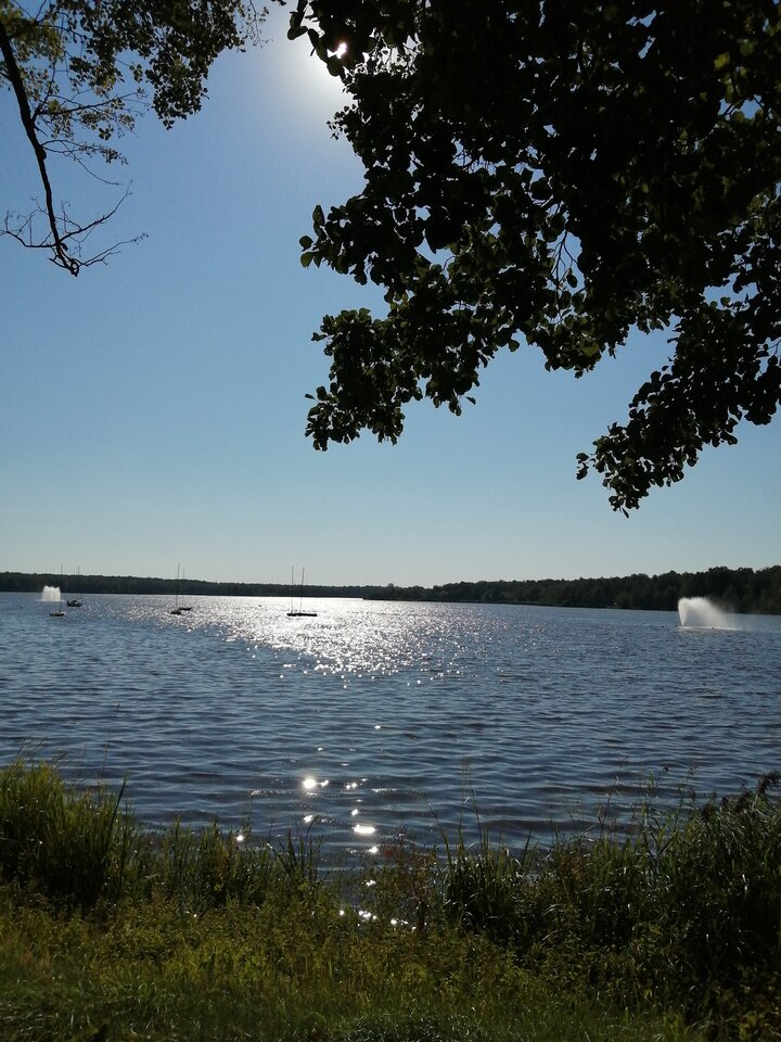 IMG_20210909_151602.jpg - Frelka_ze_wsi