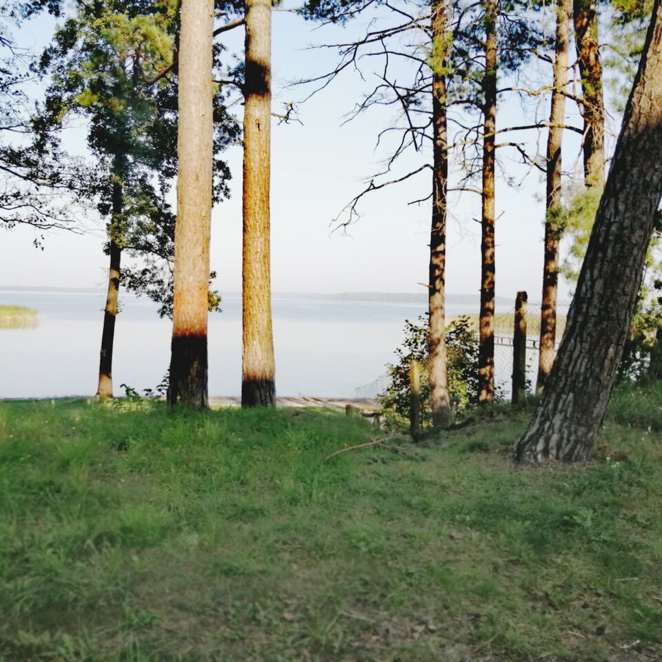 InShot_20210909_111336028.jpg - huzar13