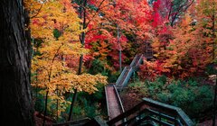 Złota jesień 13.jpg