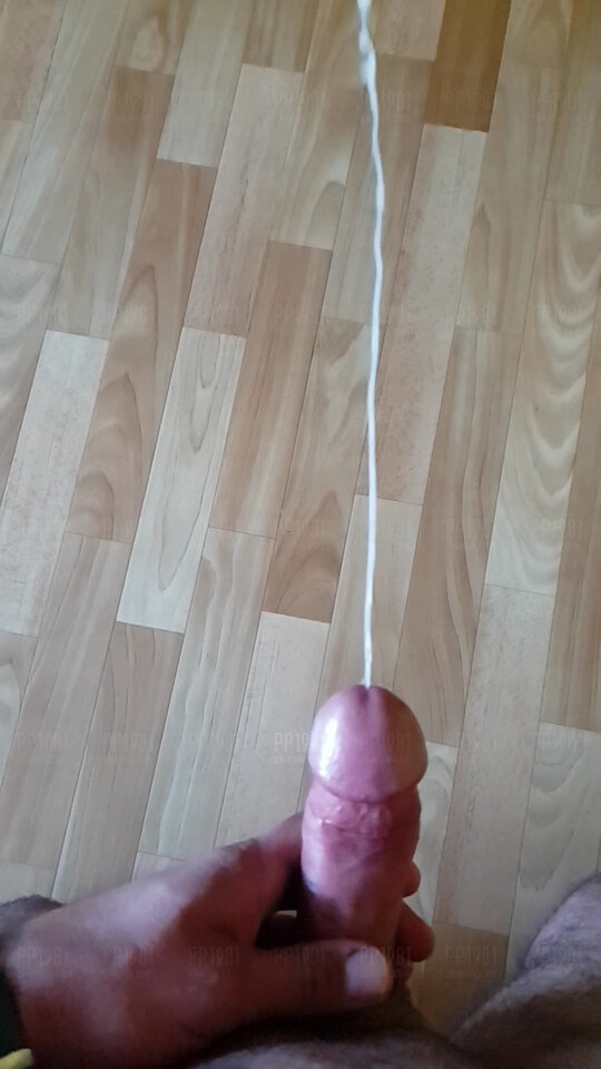 VideoCapture_20210911-160315.jpg - pp1981