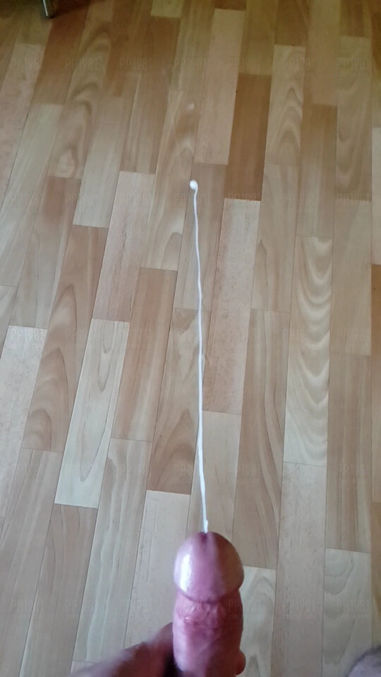 VideoCapture_20210911-160226.jpg - pp1981