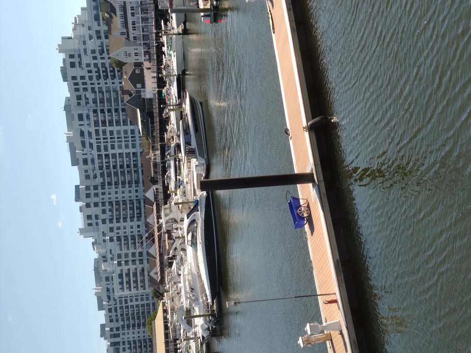 20210911_121754.jpg - pogodynkaxyz