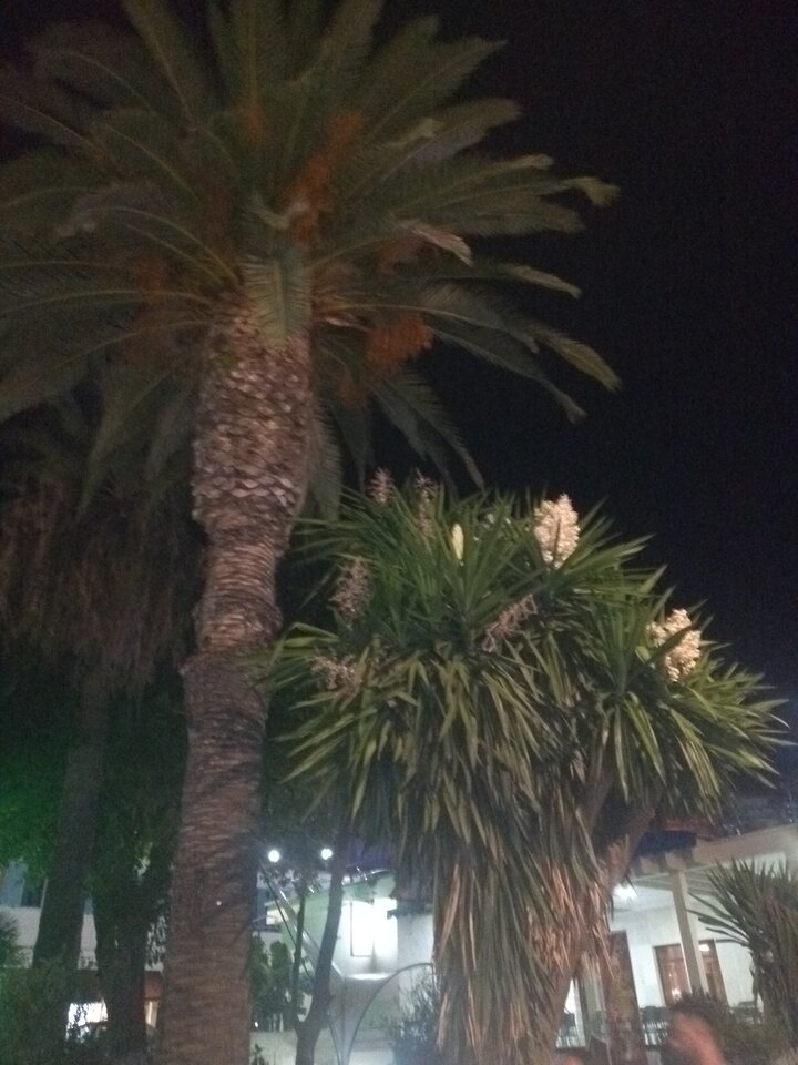 IMG_20210911_200500320.jpg - wulkan696969