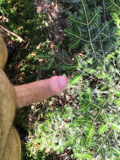 IMG_20210912_115030.jpg