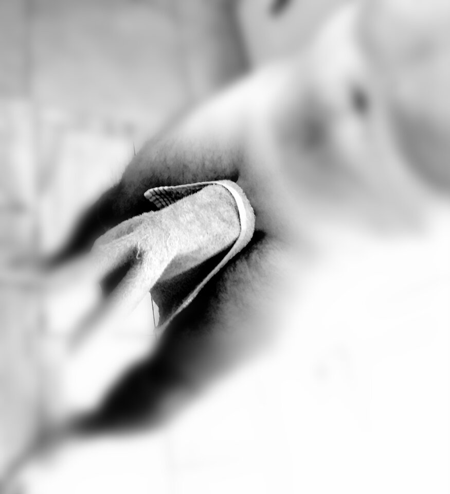 IMG_20210912_151412.jpg - Katofan