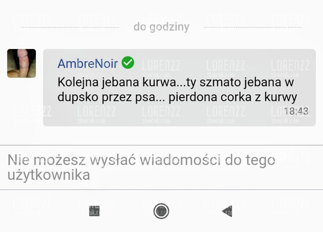 Screenshot_2021-09-12-18-45-43-889_com.android.chrome.jpg - Loren22