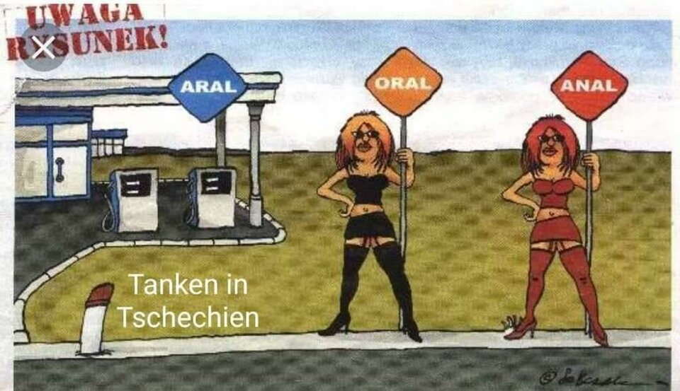 IMG-20190529-WA0003.jpg - wolf14