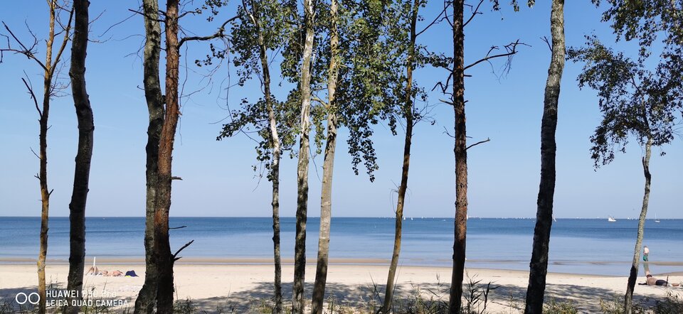 IMG_20210909_130618.jpg - Buziak81