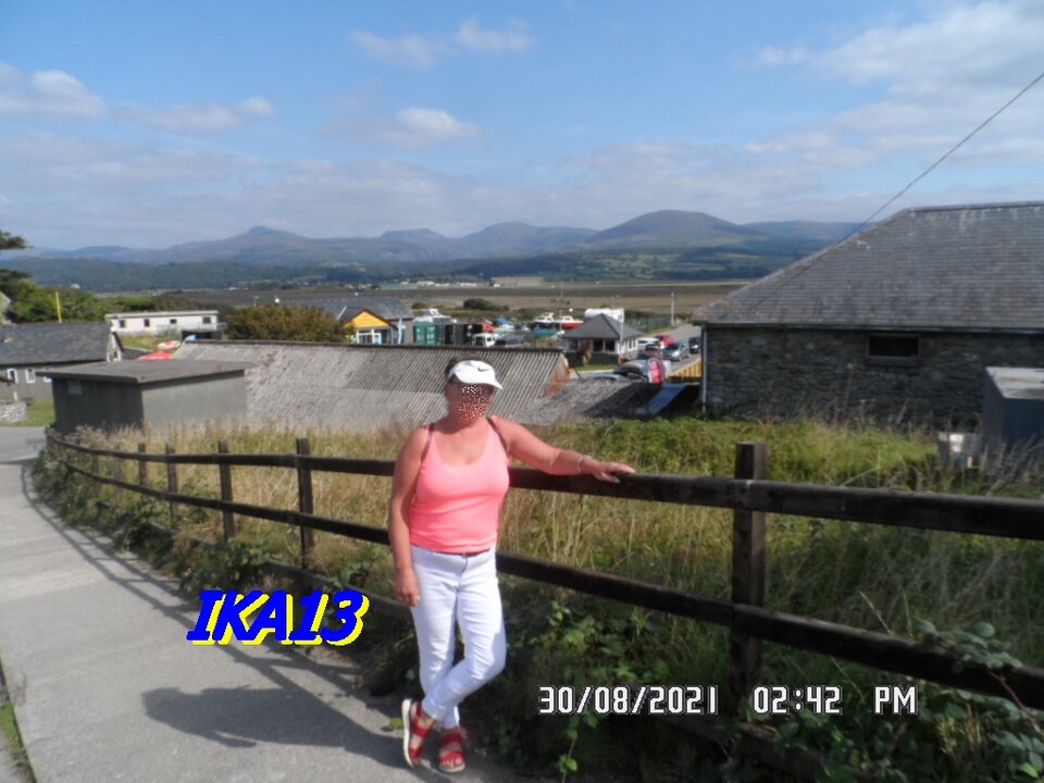 SAM_3714.JPG - ika13