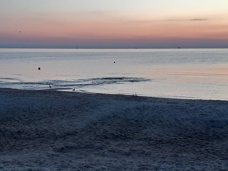 20210711_041518.jpg - Piotr40gd