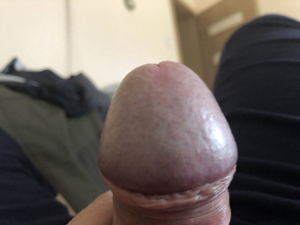 9F63317E-0C05-4FF2-9AFF-74E68C52A812.jpeg - boguspl