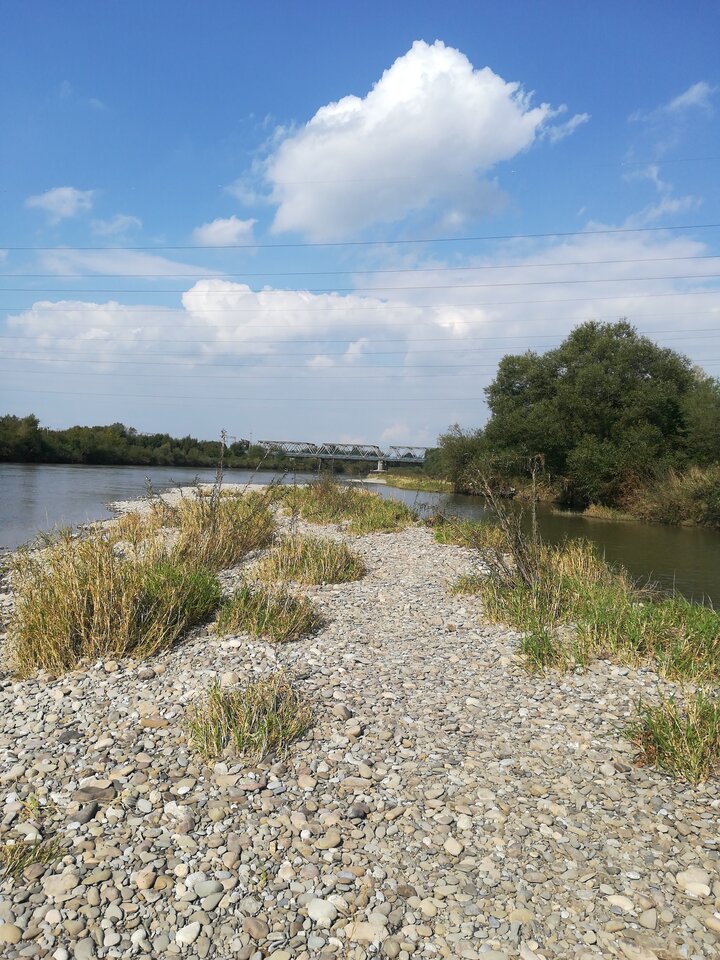 16316192200152212515173436547463.jpg - wojtek198228