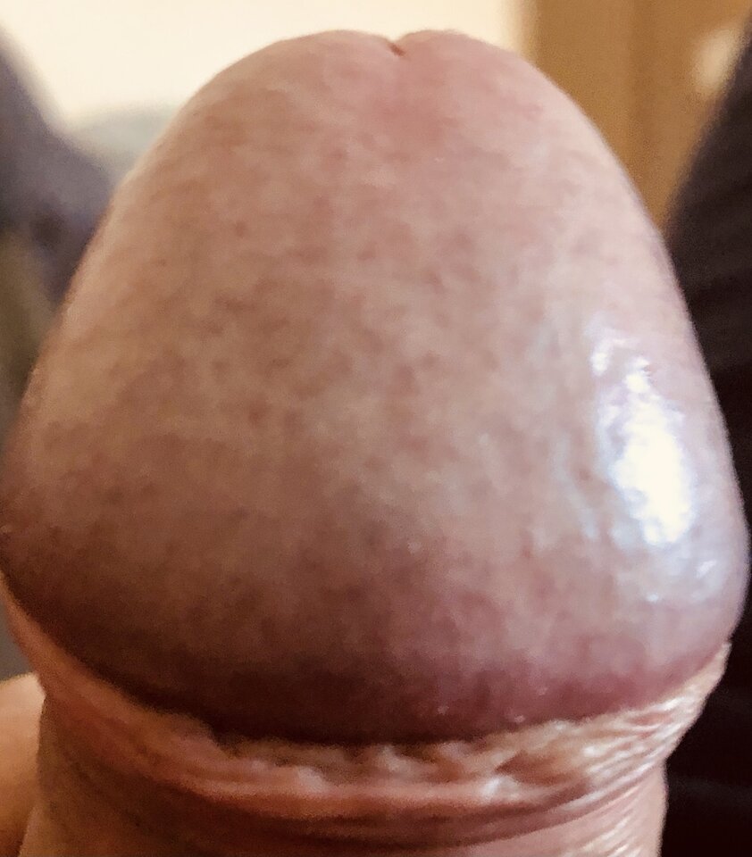 081165A0-D0BA-4C71-9D15-7BCC3162C35E.jpeg - boguspl