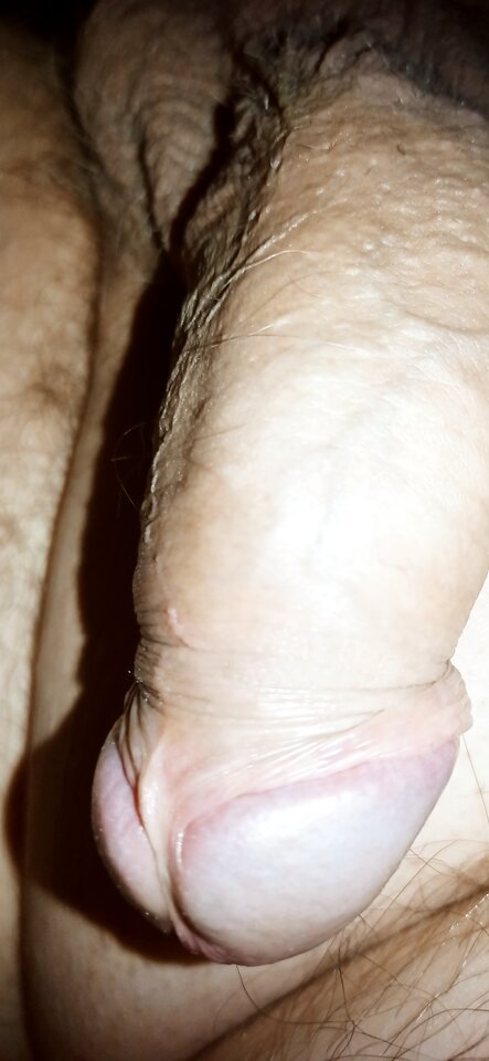 IMG_20210914_212603.jpg - dupekalex