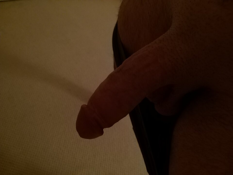 1631655255185973506023429511808.jpg - Tomato1313