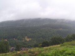 20210826_121711.jpg