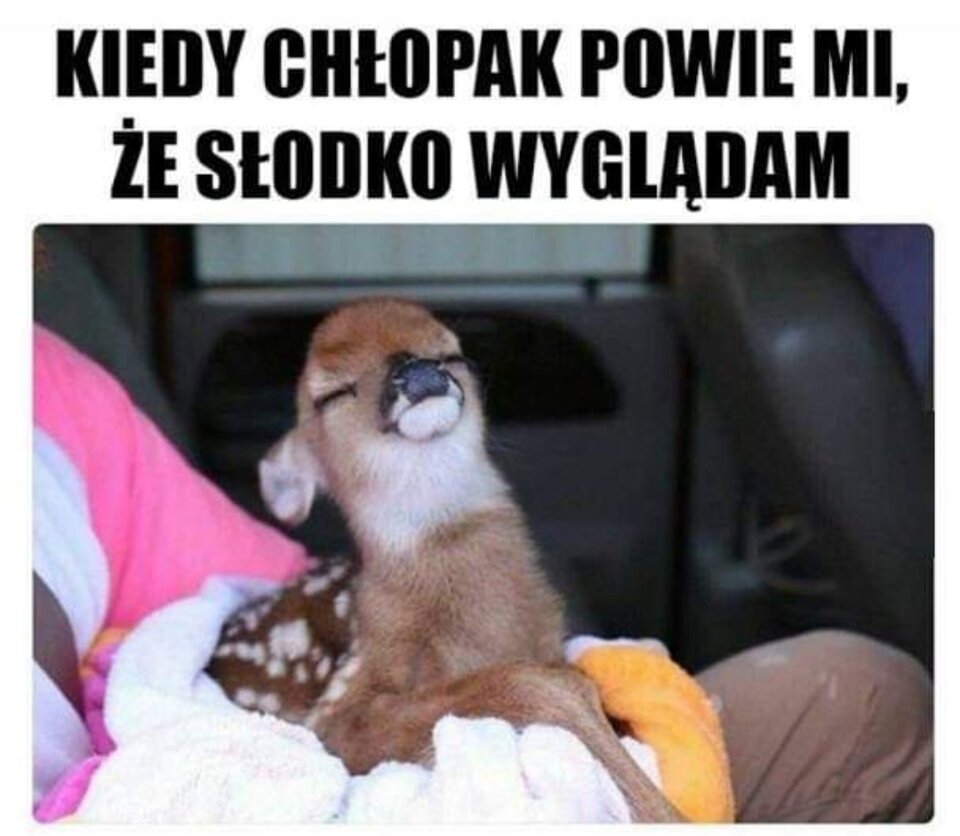 Screenshot_20210916_135148.jpg - 87urocza