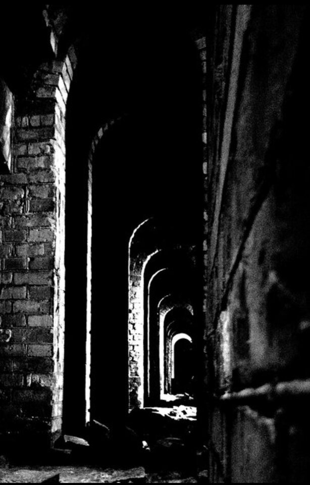 IMG-20200925-WA0007.jpg - DrwalB