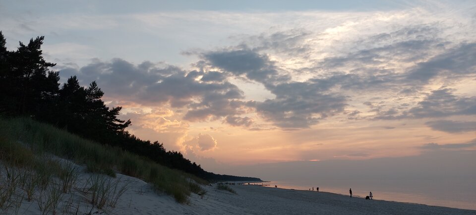 20210910_191220.jpg - TypowaTrans