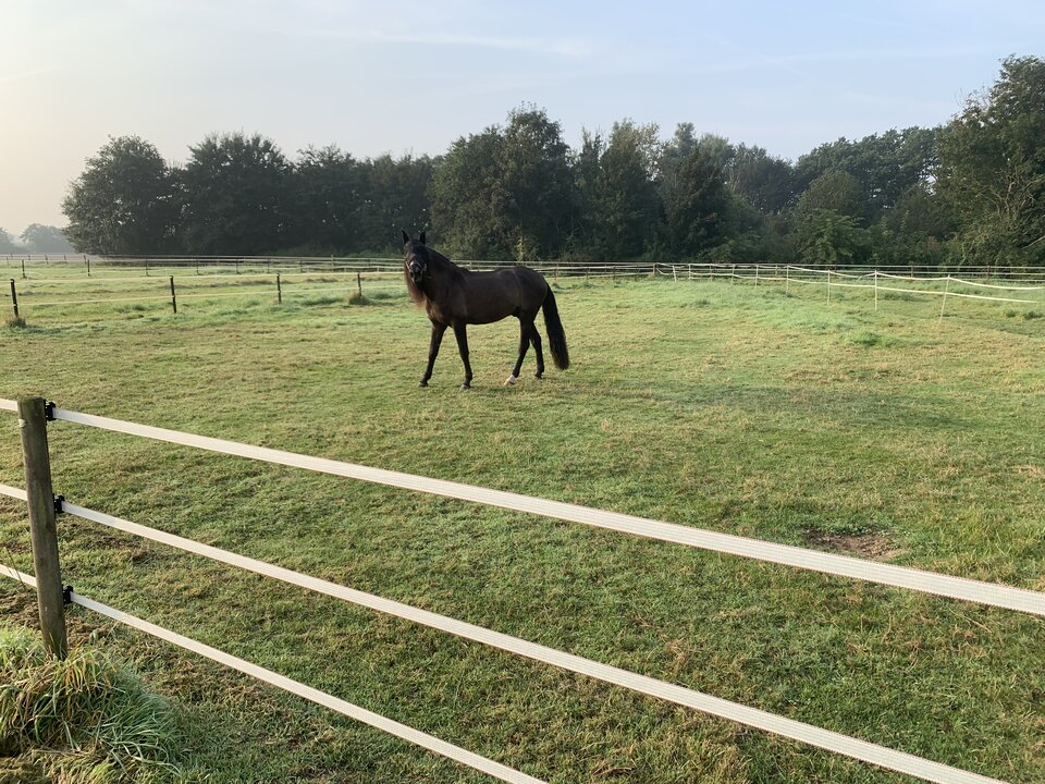 91C98D83-9A2C-4E06-B3D4-EEF57563BC86.jpeg - nrw670n