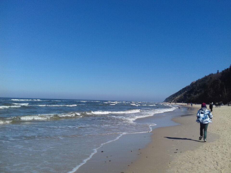 20180402_123749.jpg - torii99