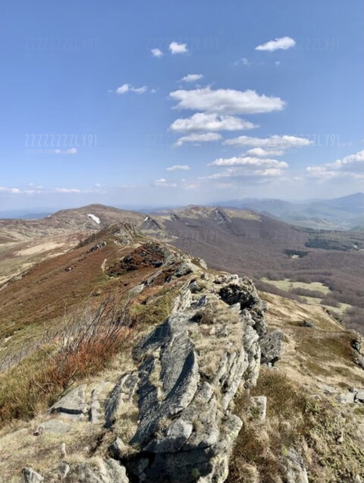 0BB70896-365B-438A-80A2-9C936C898AB3.jpeg - Zzzzzzzzly91