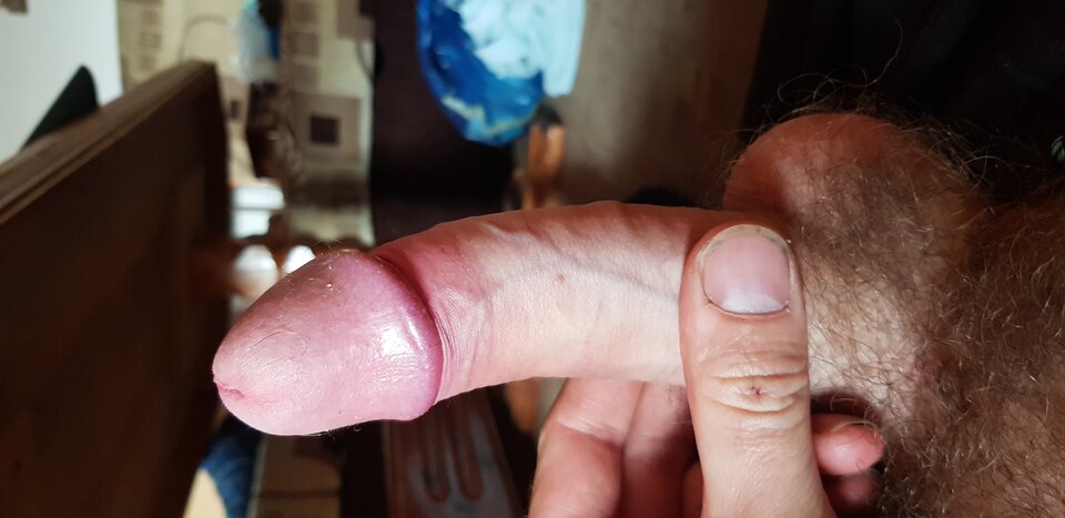 20210919_132341.jpg - Dom1994