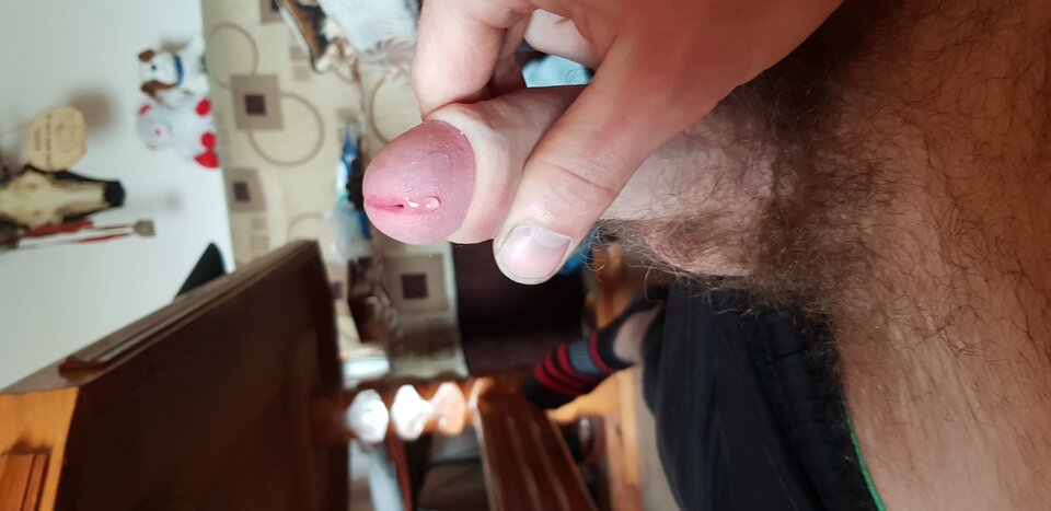 20210919_133155.jpg - Dom1994