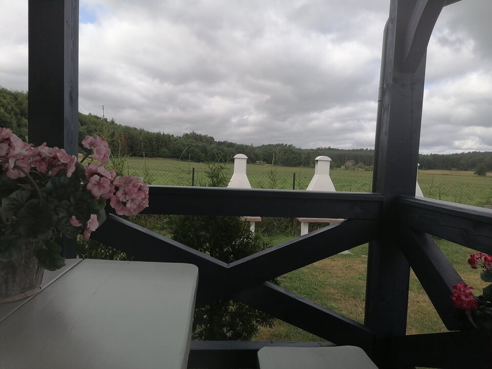 1626593144663.jpg - niewyzyta_suka