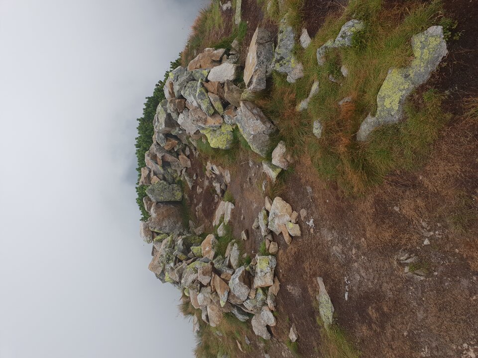 20180723_132805.jpg - ZakazanaStrefa