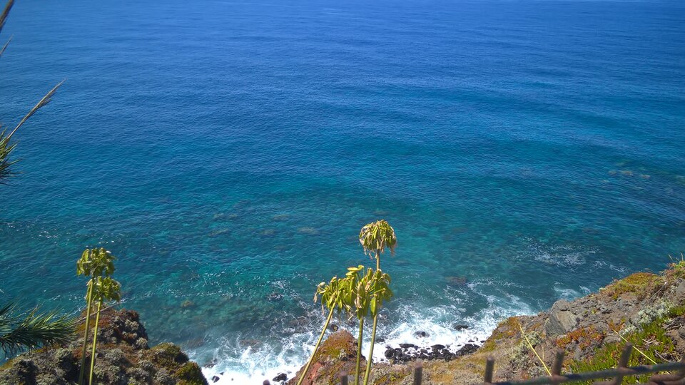  3518.jpg - Zielonookaa20