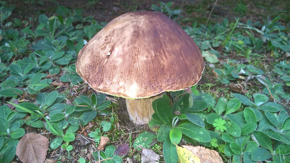  969.jpg - Zielonookaa20