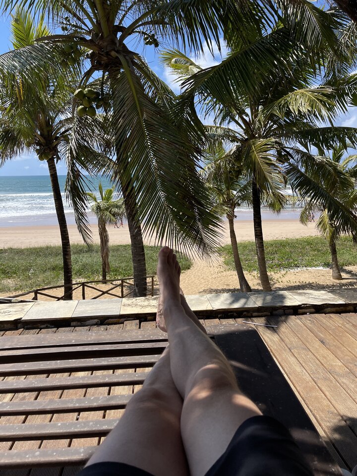 6618EDB6-3CC4-476A-969A-CC37EA964B72.jpeg - Seu