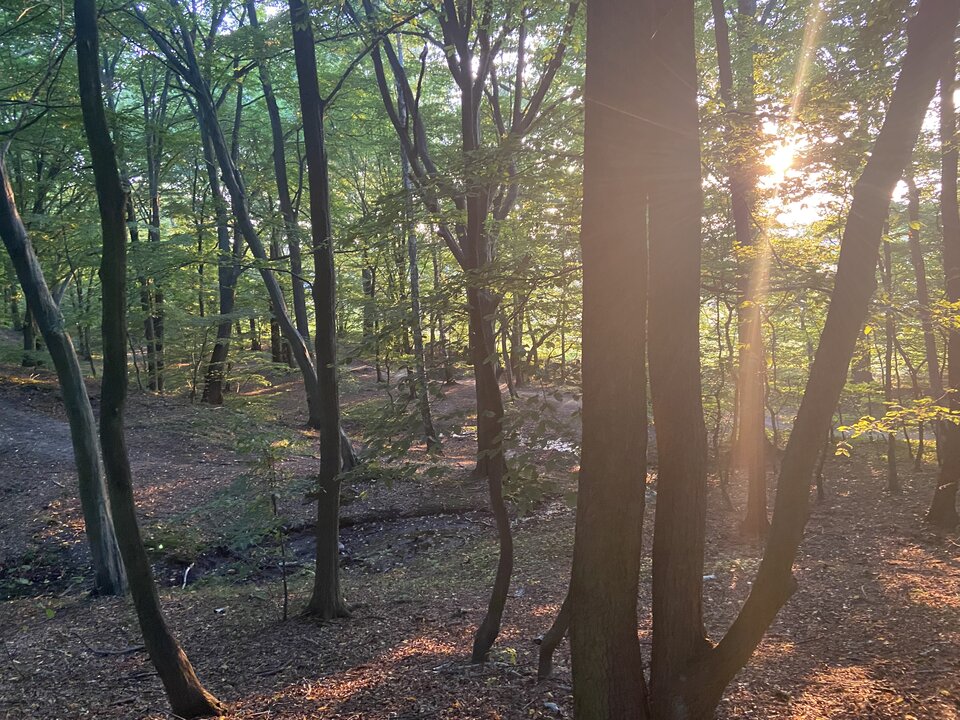 7043416B-9E0B-4C4F-8535-EC7B8B6EBE4D.jpeg - markonii35