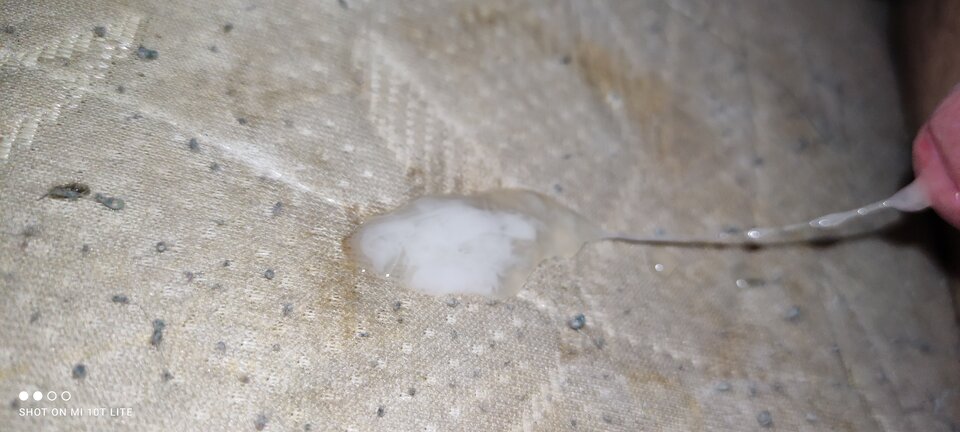 IMG_20210922_224007.jpg - cinek994