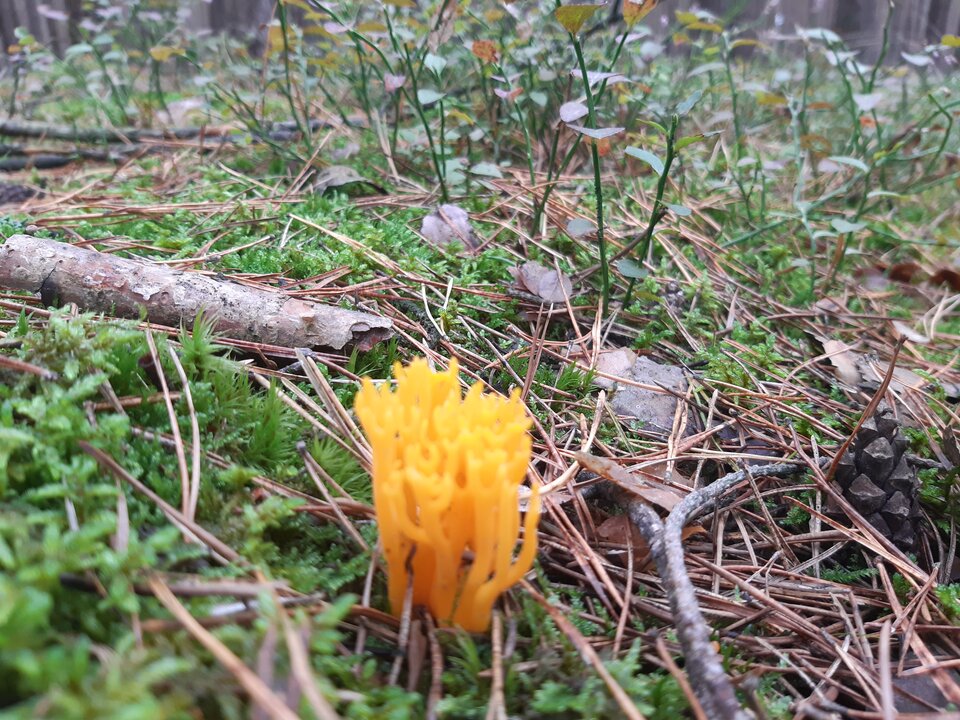 20210922_164414.jpg - torii99