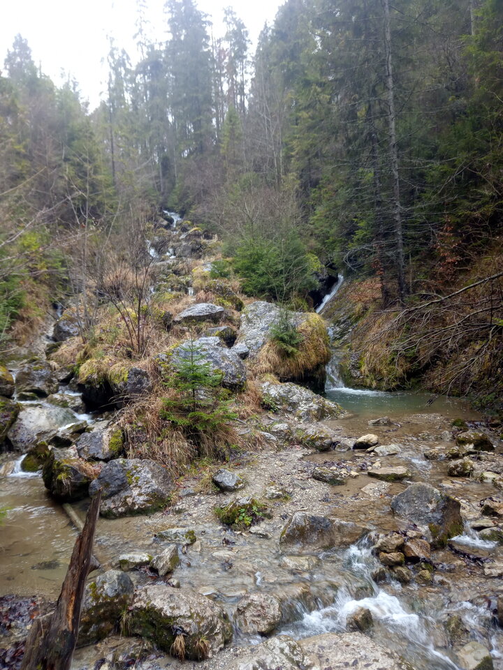 IMG_20201225_124132.jpg - RADRON