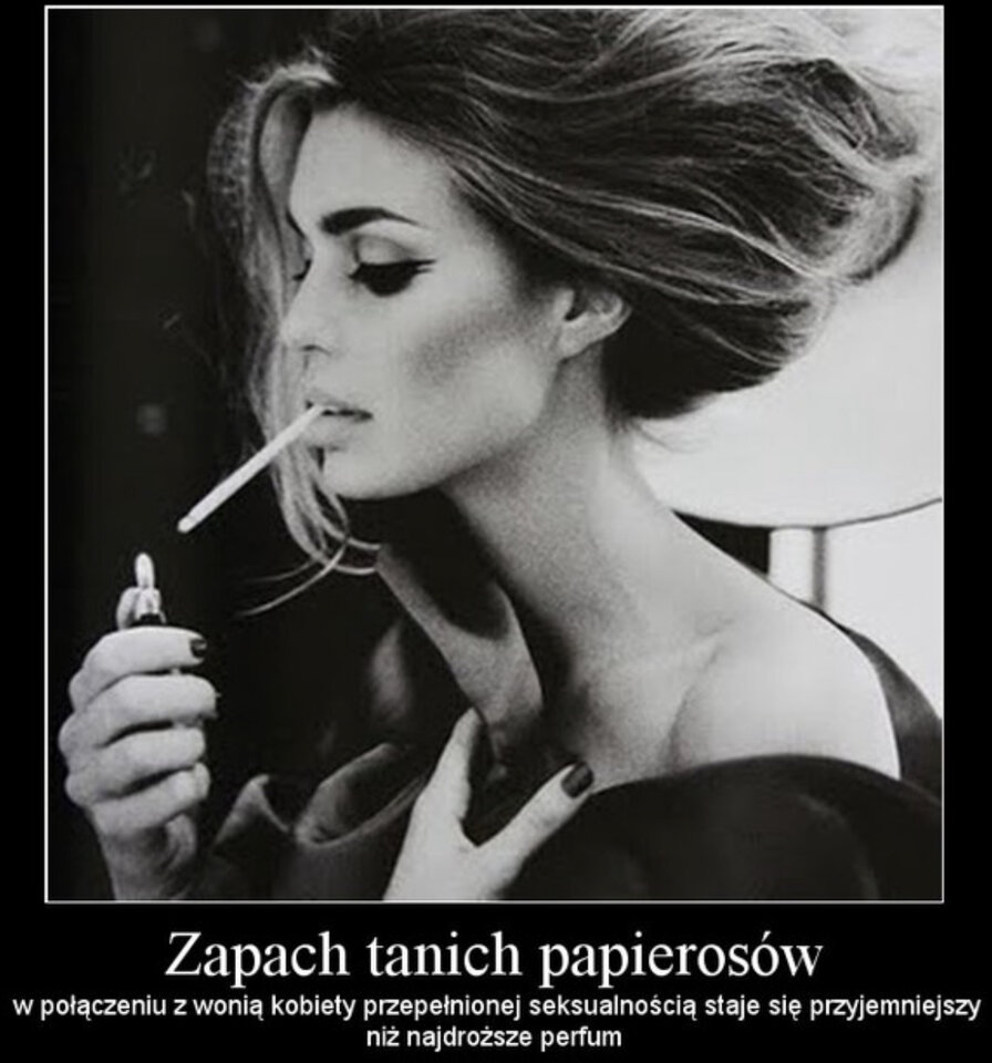 E024C2E7-9695-4C7A-946B-665EB3159CBD.jpeg - meister21