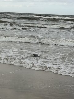 IMG_20210925_162349.jpg