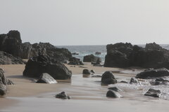 IMG_8959.JPG
