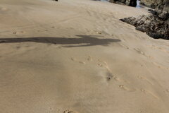 IMG_8845.JPG