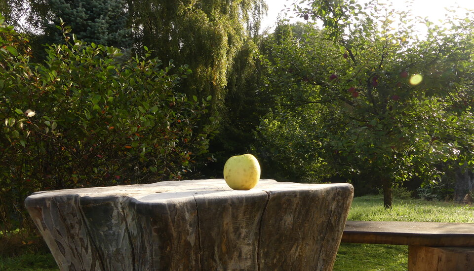 Owoc grzechu i rozpusty... :) - Aniolkidwa