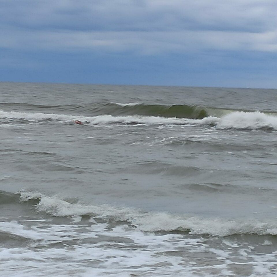 Image 2021-09-26 at 12.32.47.jpeg - larysa2