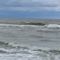 Image 2021-09-26 at 12.32.47.jpeg