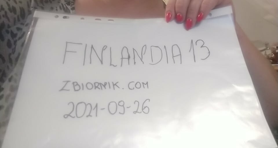 243130595_196412082469853_2663439390840795276_n (1).jpg - finlandia13