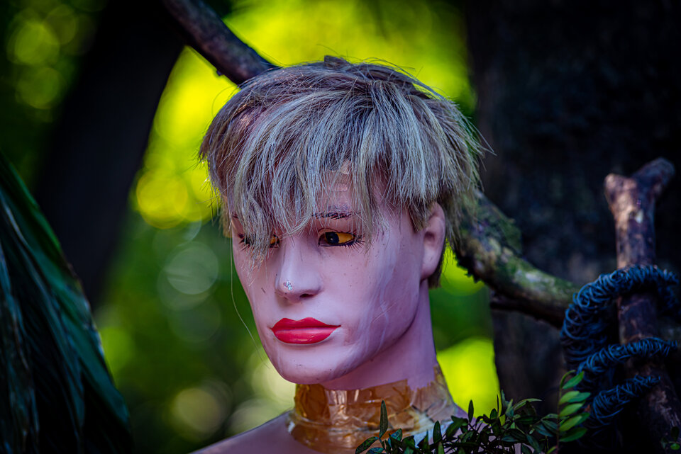 Dziwne klimaty 4 - mystic