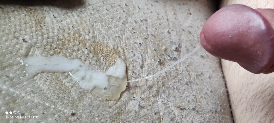 IMG_20210928_171652.jpg - cinek994